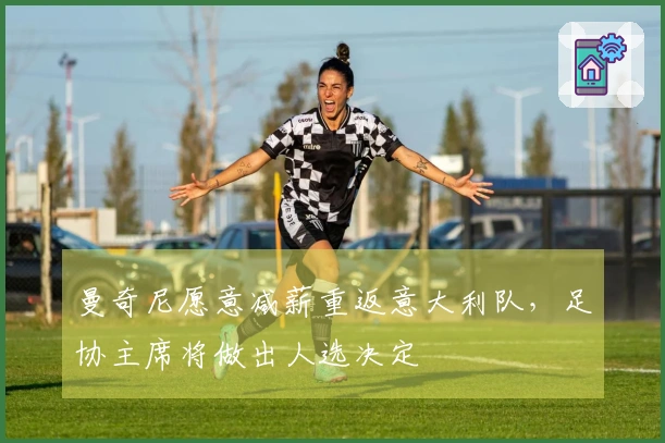 曼奇尼愿意减薪重返意大利队，足协主席将做出人选决定
